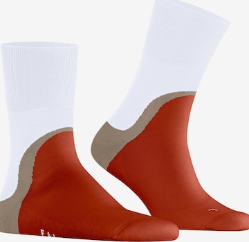 FALKE Socks 'Run Special Edition' in Grey: front