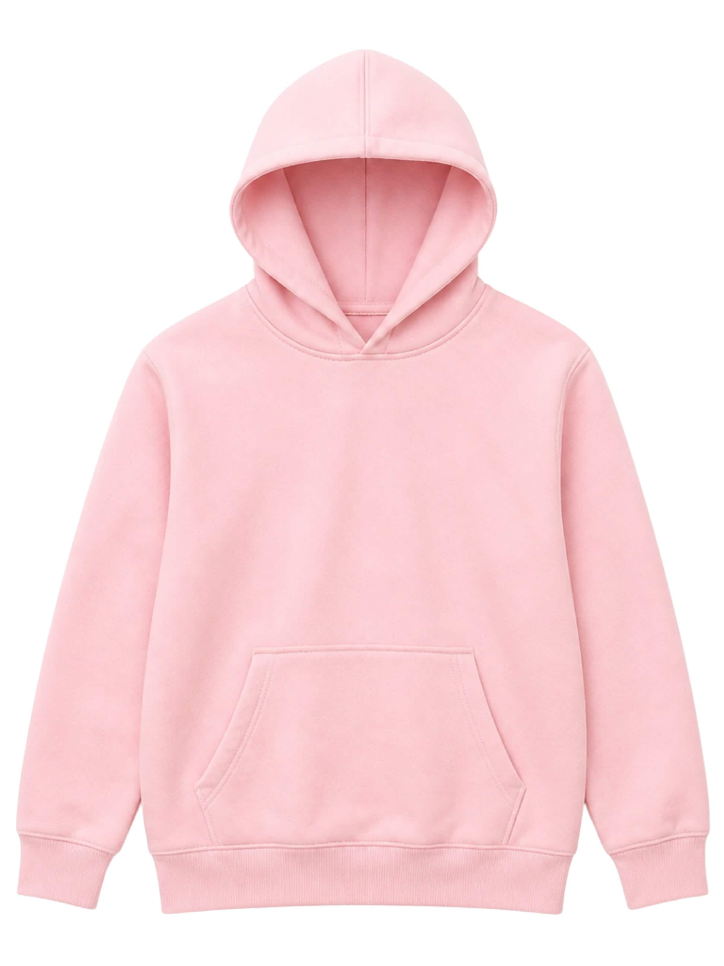 LOUIS LECLER Sweatshirt 'Hiro' in Roze: voorkant