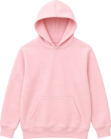 LOUIS LECLER Sweatshirt 'Hiro' in Roze: voorkant