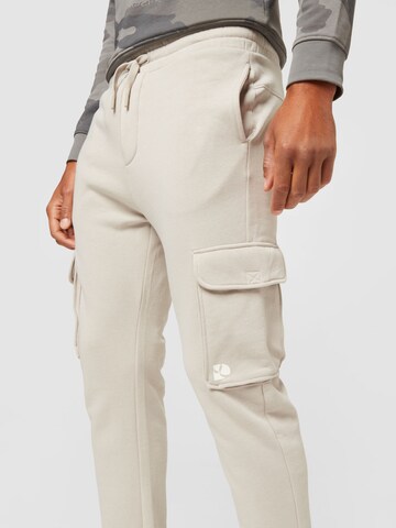 TOM TAILOR DENIM Tapered Cargo Pants in Grey