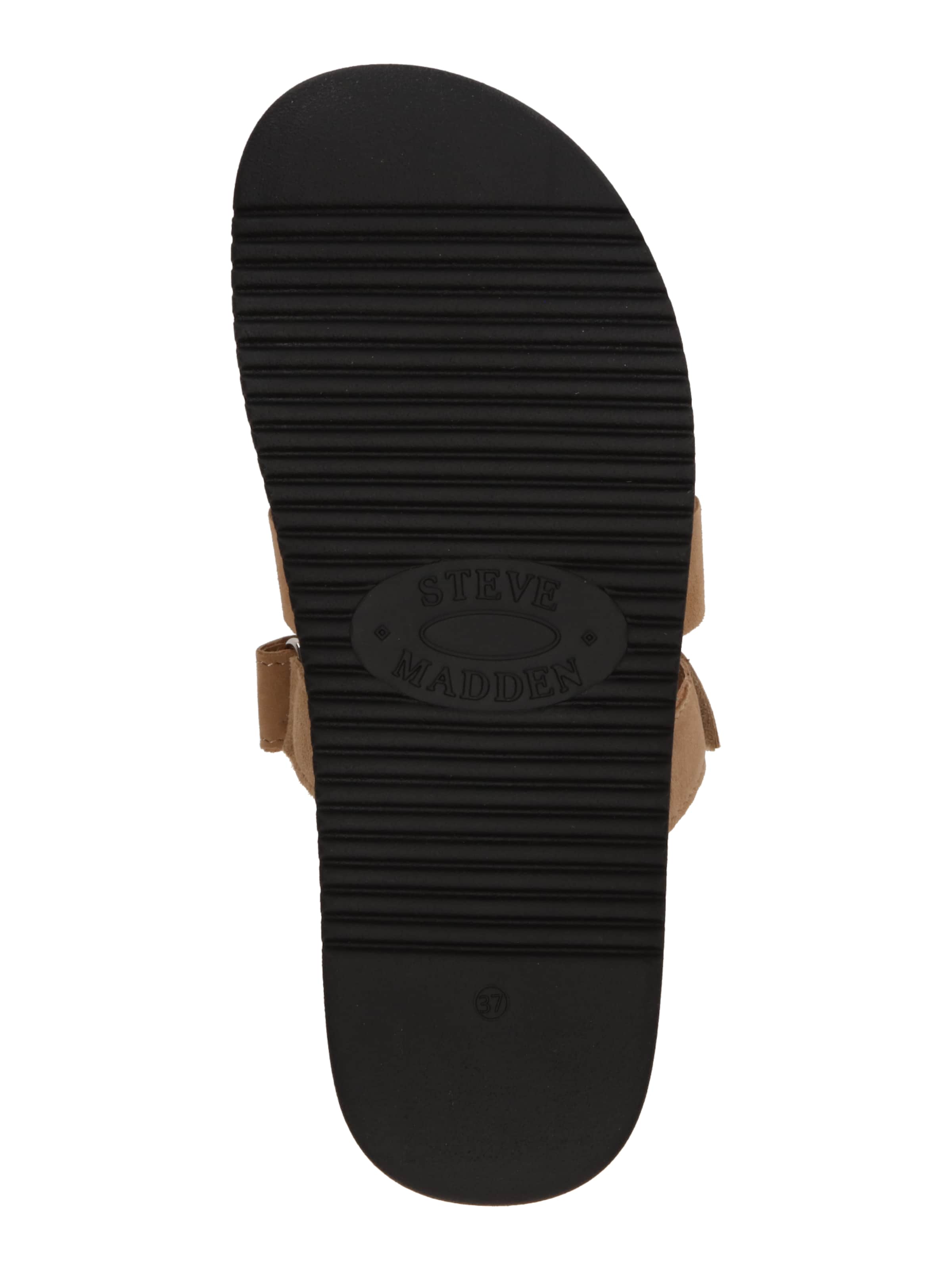 STEVE MADDEN Muiltjes 'Missile-E' in Bruin