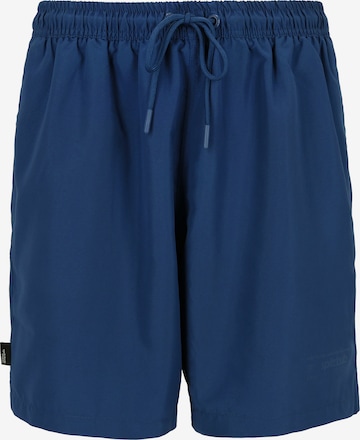 SPITZBUB Board Shorts in Blue: front