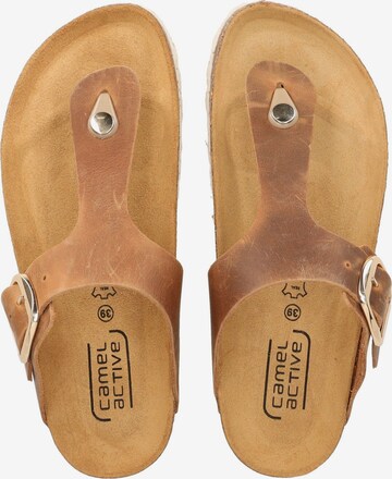 CAMEL ACTIVE T-Bar Sandals in Brown
