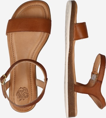 Apple of Eden Strap Sandals 'Isa' in Brown