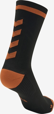 Chaussettes de sport Hummel en marron