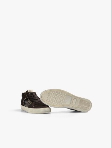 Scalpers Låg sneaker 'Felishu' i brun
