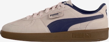 Baskets basses 'Palermo' PUMA en rose : devant