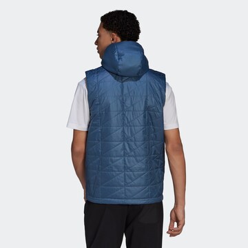 Gilet de sport 'Multi Insulated ' ADIDAS TERREX en bleu