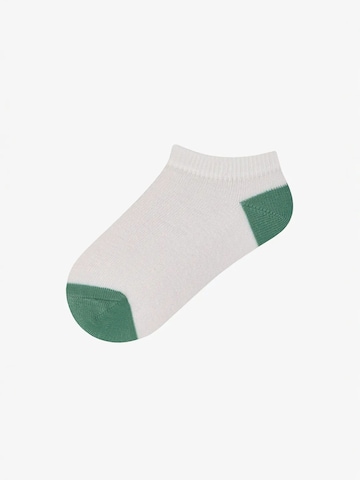 Penti - Meias 'PENTI Captains Island gestreifte 3er-Pack No-Show-Socken' em mistura de cores