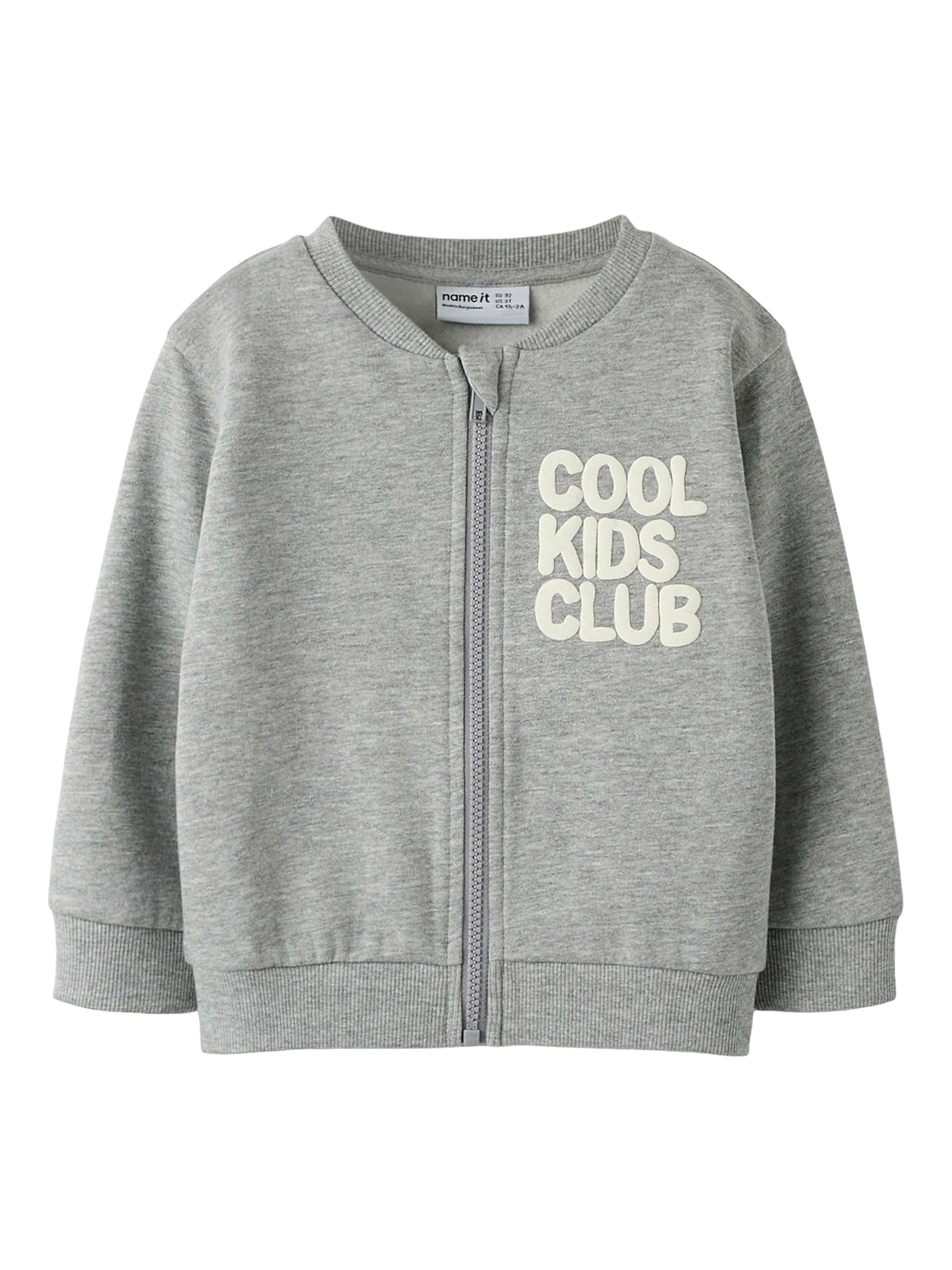 NAME IT Zip-Up Hoodie 'NMMNEIL' in Grey: front