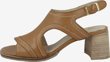 GERRY WEBER Sandals 'Garda' in Brown