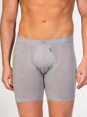 Boxer 'Cyclist Boxer' di zd ZERO DEFECTS in grigio: frontale
