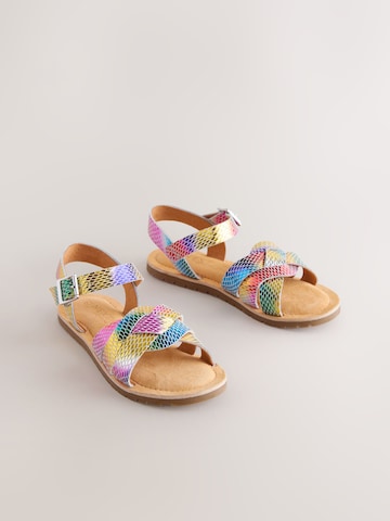 Next Sandalen in Gemengde kleuren