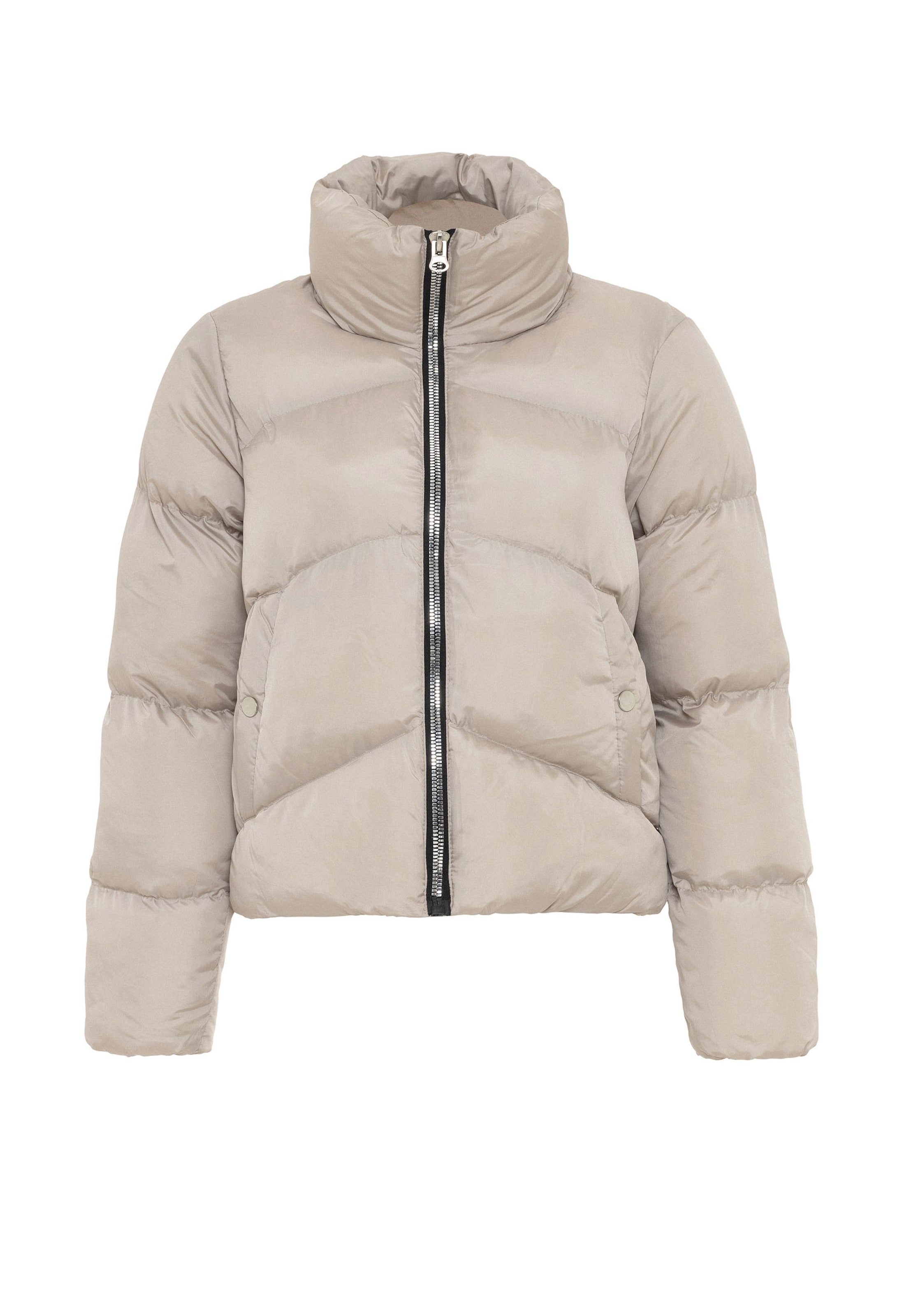 Jimmy Sanders Winter jacket in Beige: front