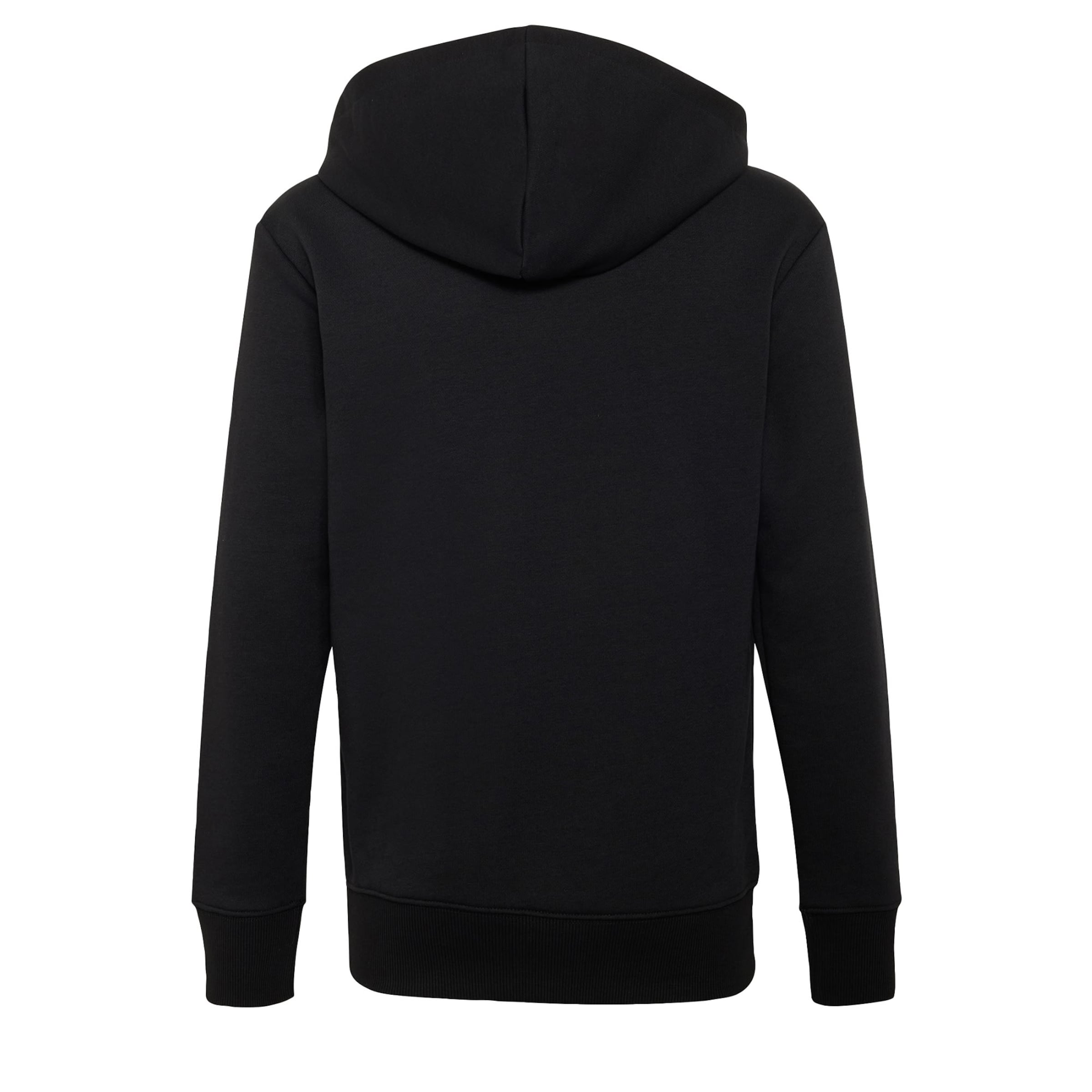 Sweat de sport 'Audi Revolut F1 Team Gabriel Bortoleto III' ADIDAS PERFORMANCE en noir