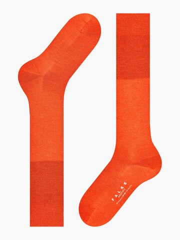 FALKE Knee High Socks in Red