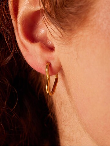 Boucles d'oreilles Lucardi en or : devant