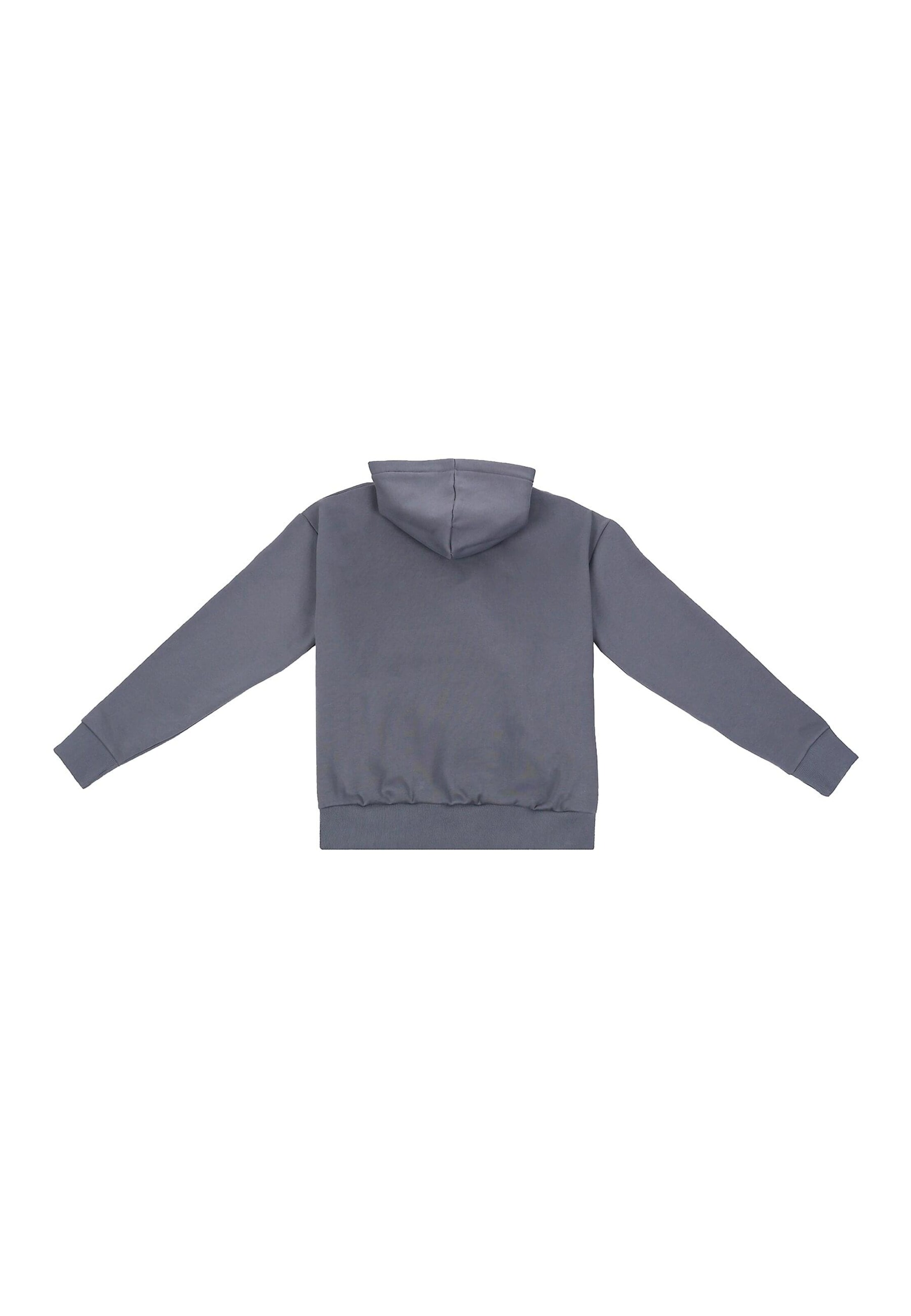 Sweat-shirt 'Embo' Dropsize en gris