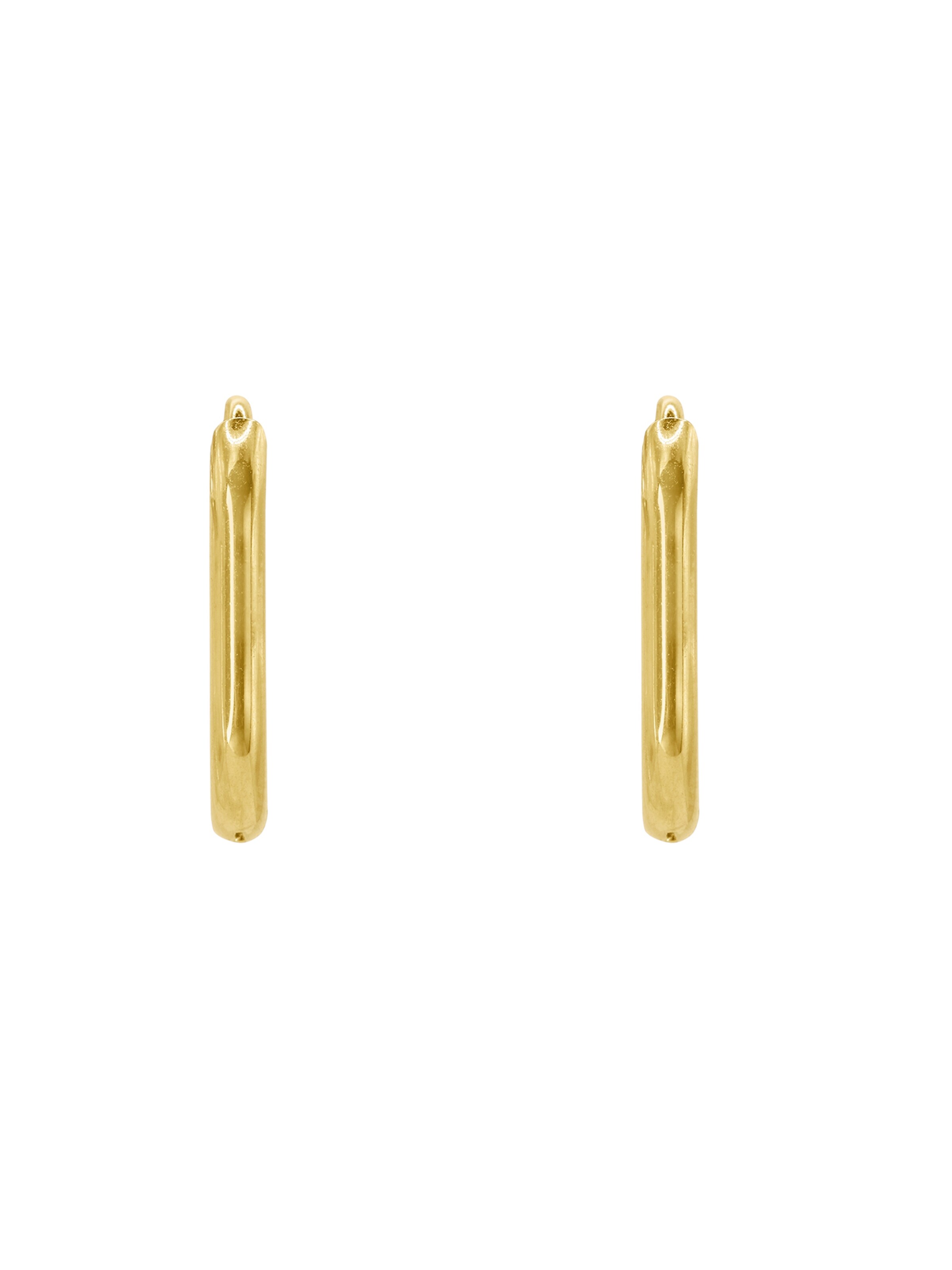 Heideman Earrings 'Festus ' in Gold