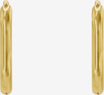 Heideman Earrings 'Festus ' in Gold