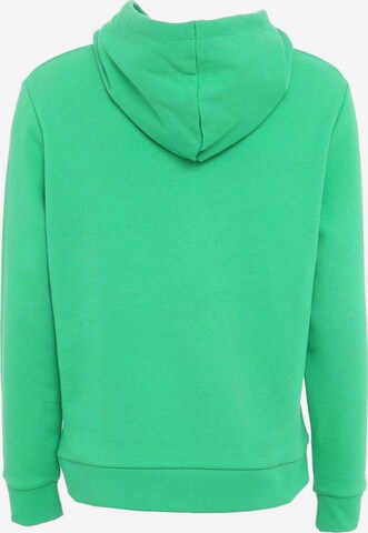 ZwillingsherzSweater majica 'Love 2.0' - zelena boja