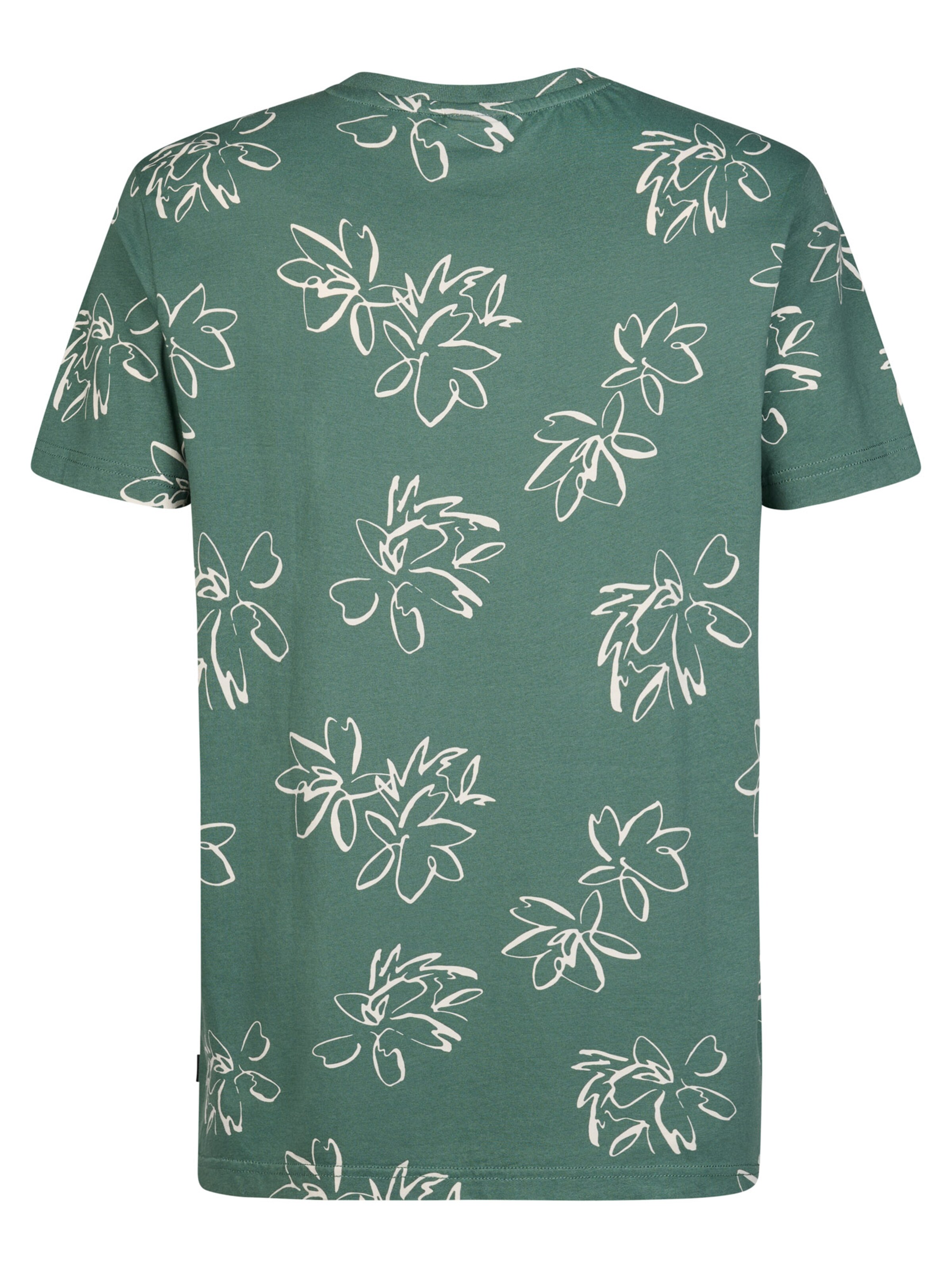 Petrol Industries T-Shirt in Grün