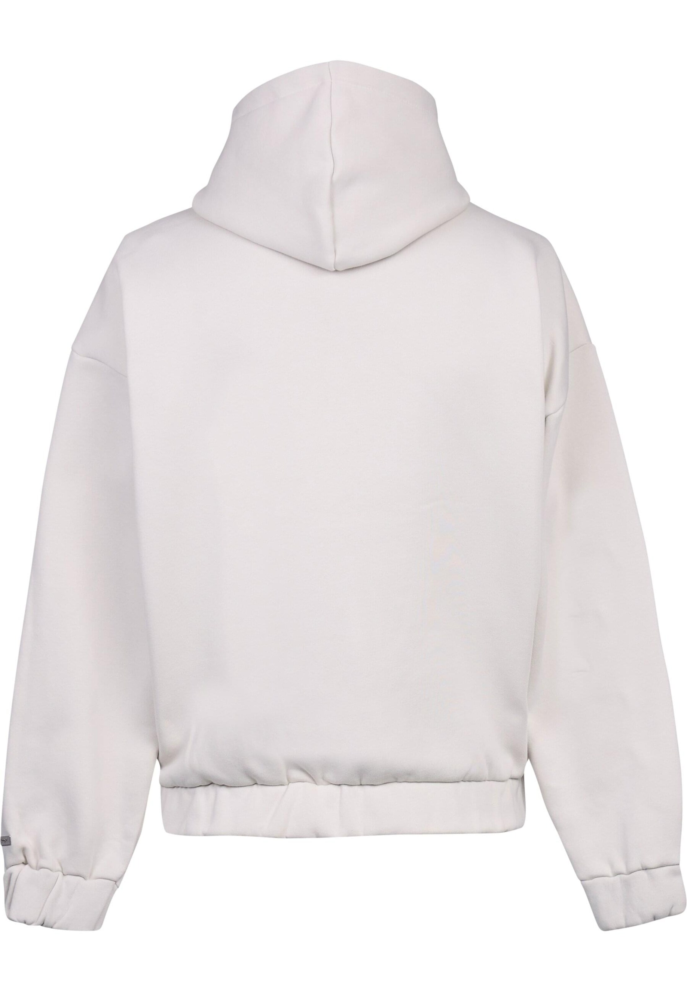Dropsize Sweat jacket in White