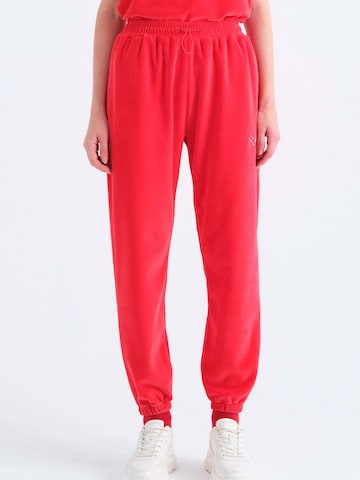 Rockupy Regular Hose 'Varun'‌‌‌‌‌‌‌‌ in Rot: Vorderseite