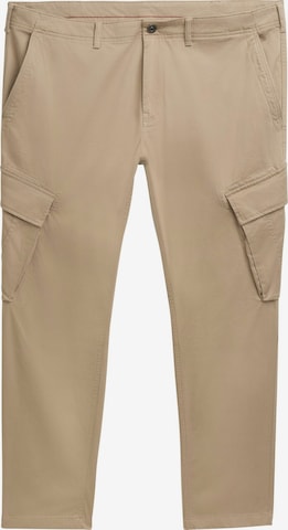 Pantalon cargo TOM TAILOR Men + en marron : devant