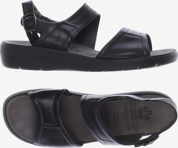 Ganter Sandals & High-Heeled Sandals in 41 in Black: front