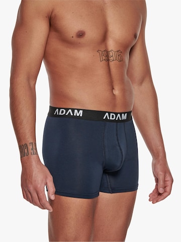 Adam Boxer shorts '3er Pack' in Blue