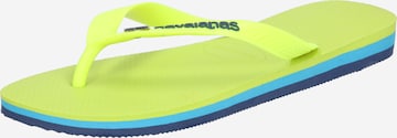 HAVAIANAS Zehentrenner in Grün: front
