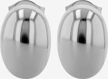 Akzent Earrings 'langlebig' in Silver: front
