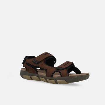 WRANGLER Sandals in Brown: front