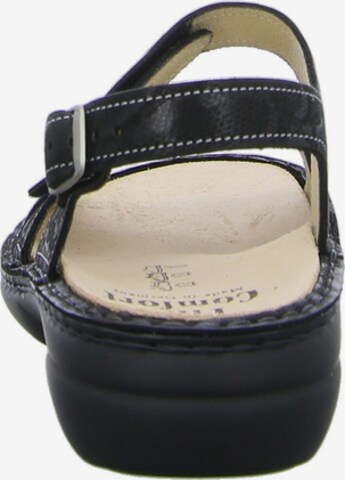 Finn Comfort Sandals in Black