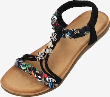 Sandales à lanières 'Ninralla' Palado en noir : devant