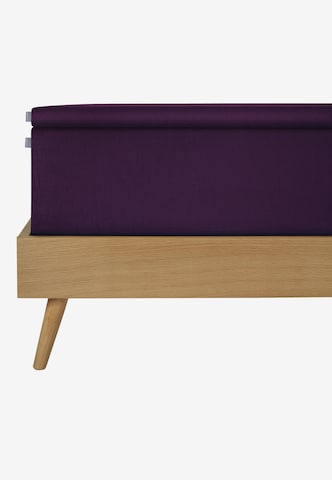 SCHIESSER Bed Sheet 'Flexi' in Purple