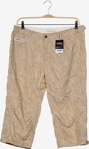 ICEPEAK Shorts in 31-32 in Beige: front