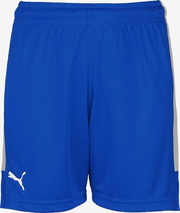 PUMA Loosefit Shorts in Blau: predná strana