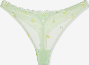 String di ETAM in verde: frontale