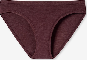 SCHIESSER Panty in Red: front