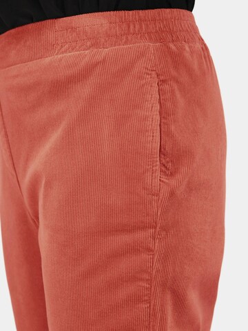 Goldner Regular Pants in Red