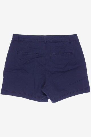 GAP Shorts in 4XL in Blue