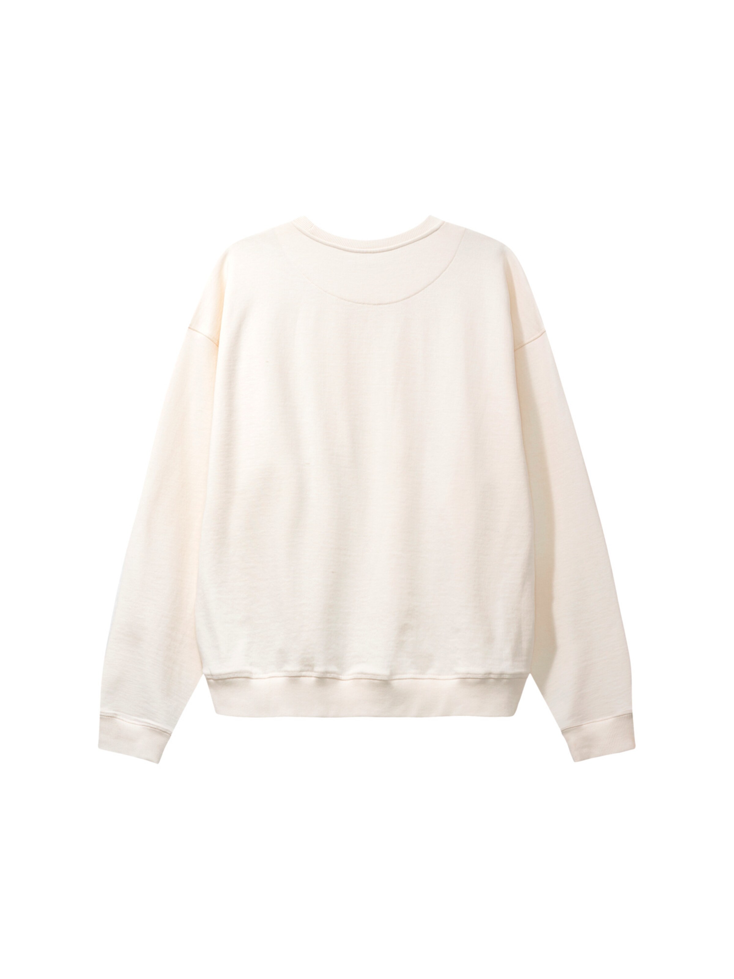 Fat Moose Sweatshirt 'Josh' in Beige