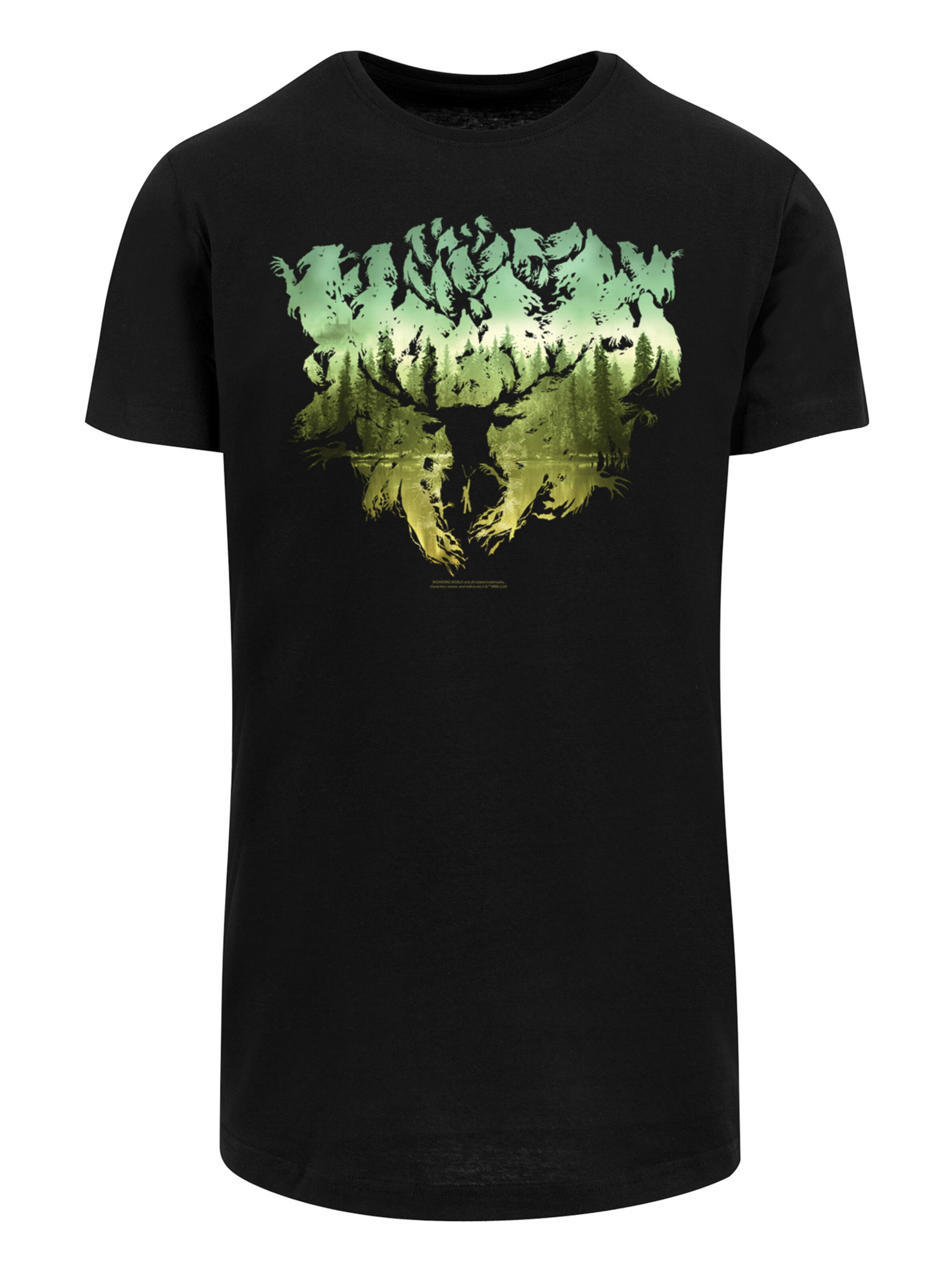 T-Shirt 'Harry Potter Magical Forest' F4NT4STIC en noir : devant