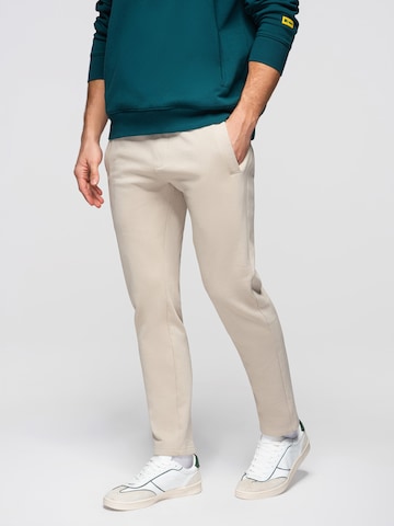 Ombre Regular Trousers 'OM-PABS-0304' in Grey