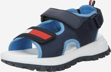 Calzatura aperta di TOMMY HILFIGER in blu: frontale