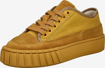 Baskets basses Sneaky Steve en marron : devant