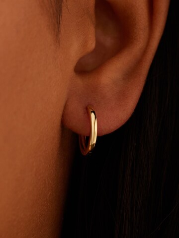 Boucles d'oreilles Lucardi en or : devant