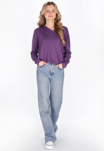 usha BLUE LABEL Pullover in Lila